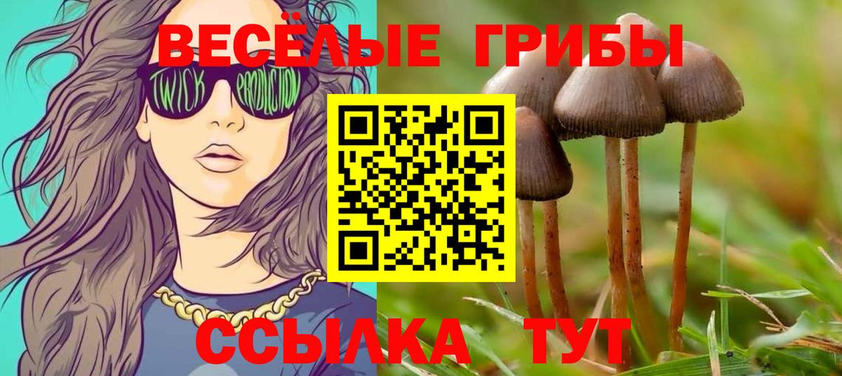 где продают наркотики  Псилоцибиновые грибы ЛСД  Галлюциногенные грибы GOLDEN TEACHER  Вход с VPN  Дюртюли 