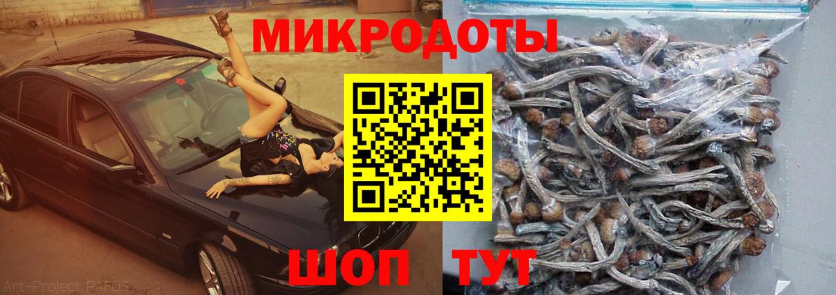 Галлюциногенные грибы Psilocybe Дюртюли